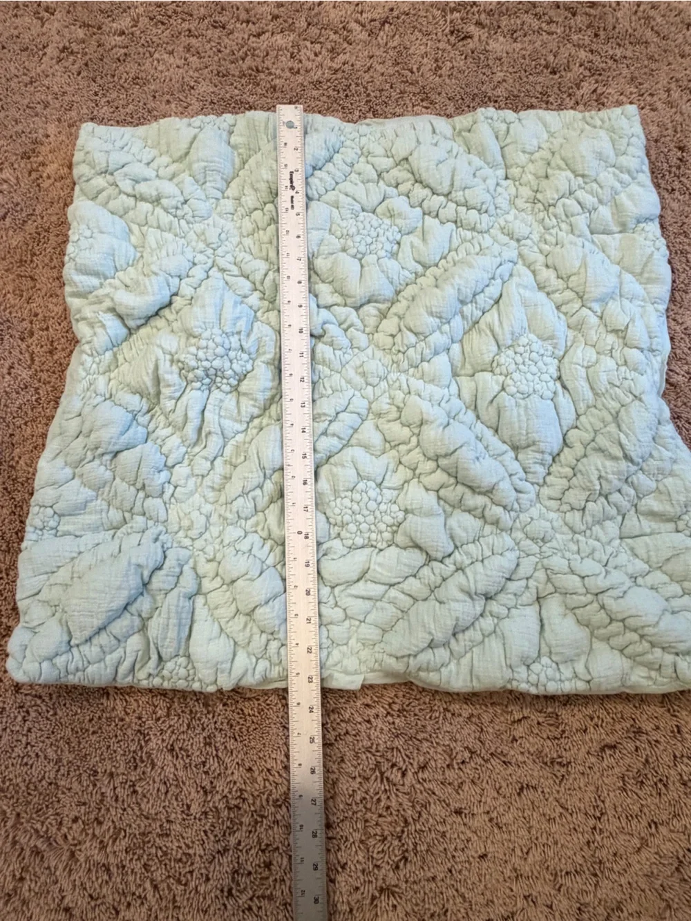 New Anthropologie everly cotton floral euro sham textured mint green blue cover
